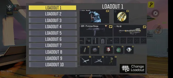 Call Of Duty - Loadout